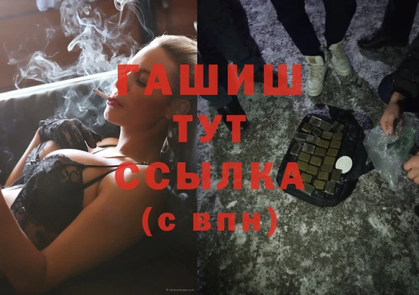 spice Богородицк