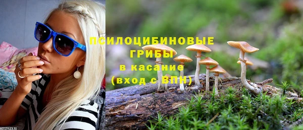 spice Богородицк