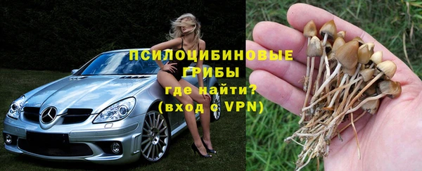 spice Богородицк