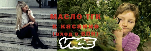 spice Богородицк