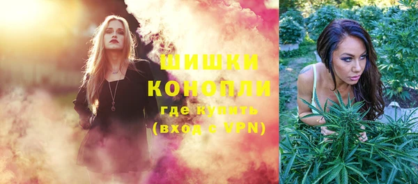 spice Богородицк