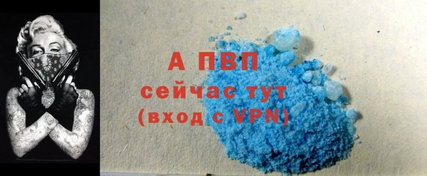 spice Богородицк