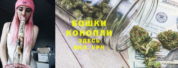 шишки Белоозёрский