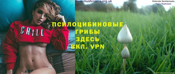 соль курить ск Богородск