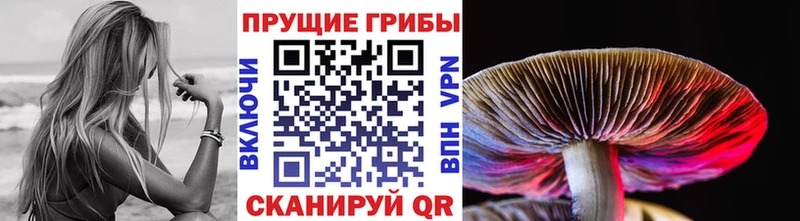 darknet состав  Буинск  Псилоцибиновые грибы ЛСД 