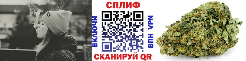 Бошки марихуана ГИДРОПОН  Буинск 